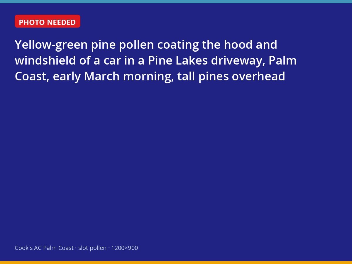 Thick pine pollen covering a car in a Palm Coast driveway in early spring